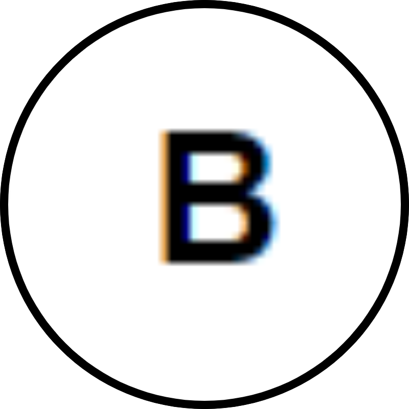 Image B