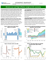 Economic Snapshots: Ukraine War and High Inflation Weigh on U.S. Economy