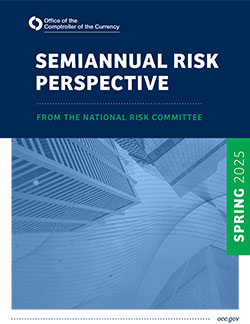 Semiannual Risk Perspective, Spring 2025